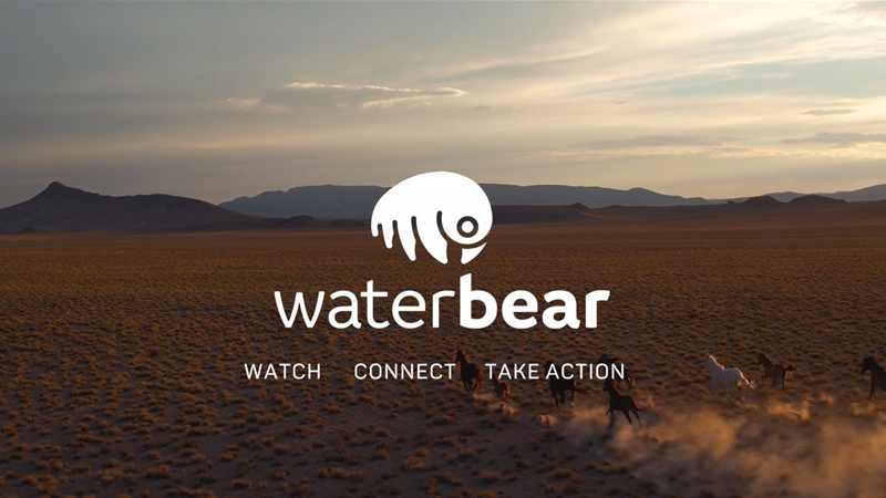 Water Bear TV .EN