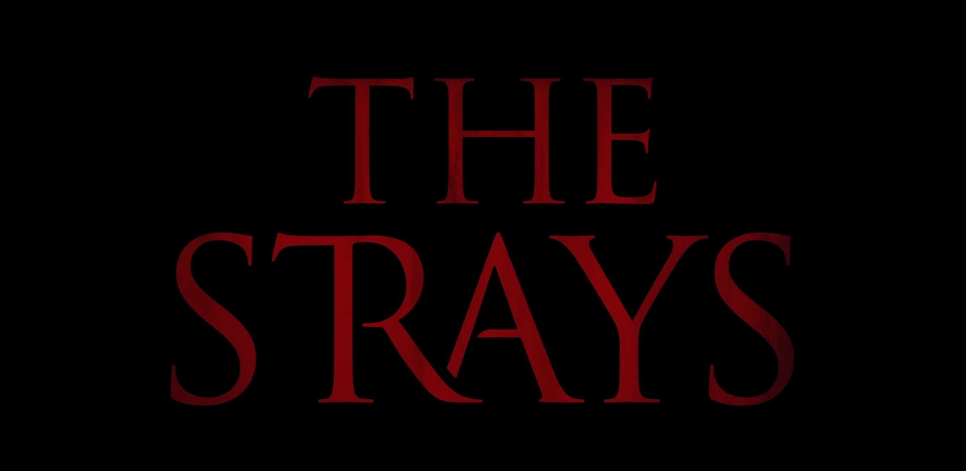 The Strays